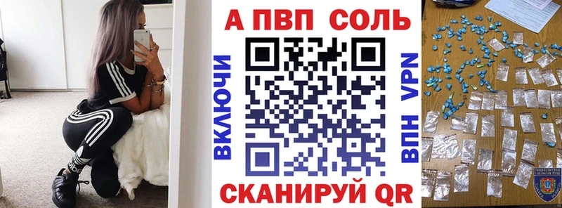 A PVP СК Каменногорск