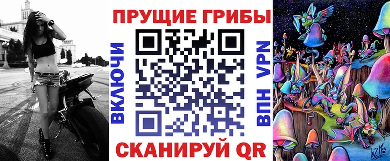 наркошоп  Каменногорск  Галлюциногенные грибы Magic Shrooms 